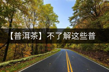 【普洱茶】不了解這些普洱茶概念，你還敢說你很懂易武茶