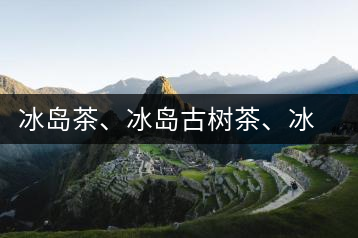 冰島茶、冰島古樹茶、冰島茶區(qū)茶、冰島茶區(qū)古樹茶