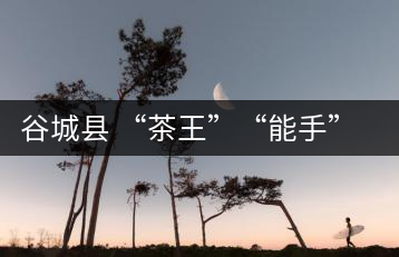 谷城縣 “茶王”“能手” 季廣成創(chuàng)新品牌打響品牌