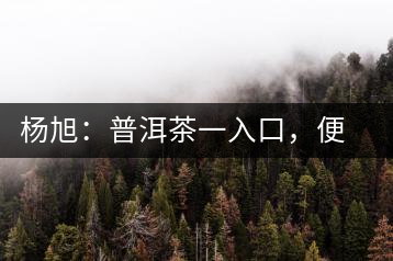 楊旭：普洱茶一入口，便知產(chǎn)地和年份
