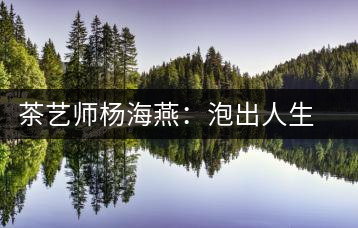 茶藝師楊海燕：泡出人生真滋味
