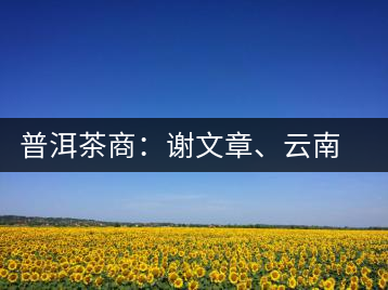 普洱茶商：謝文章、云南谷申商貿(mào)有限公司總經(jīng)理