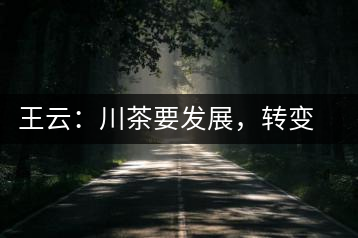 王云：川茶要發(fā)展，轉(zhuǎn)變思想是關(guān)鍵
