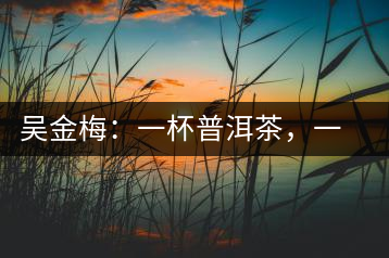 吳金梅：一杯普洱茶，一份云南情