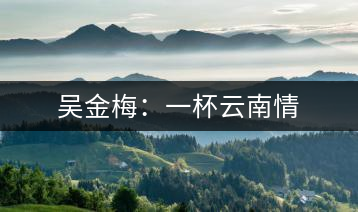 吳金梅：一杯云南情