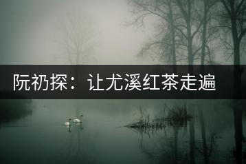 阮礽探：讓尤溪紅茶走遍天下