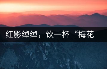 紅影綽綽，飲一杯“梅花”醉