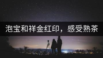 泡寶和祥金紅印，感受熟茶之美。