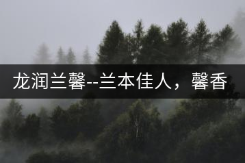 龍潤(rùn)蘭馨–蘭本佳人，馨香高雅