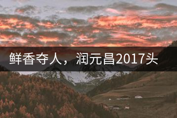 鮮香奪人，潤(rùn)元昌2017頭采小青柑即將上市