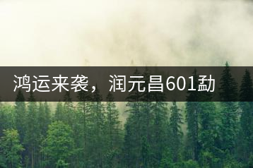 鴻運(yùn)來(lái)襲，潤(rùn)元昌601勐海紅韻熟茶即將上市