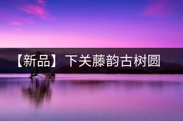 【新品】下關(guān)藤韻古樹(shù)圓茶——“千手觀音”臨世之風(fēng)骨