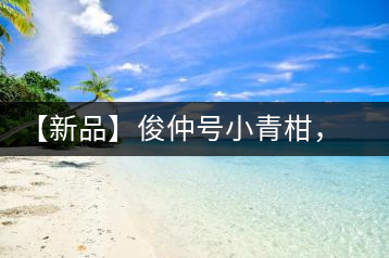 【新品】俊仲號(hào)小青柑，青果來傾城