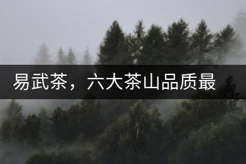 易武茶，六大茶山品質(zhì)最優(yōu)