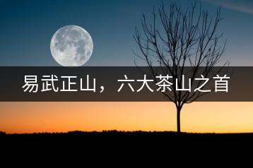 易武正山，六大茶山之首