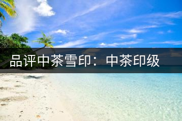 品評(píng)中茶雪?。褐胁栌〖?jí)茶的經(jīng)典傳承
