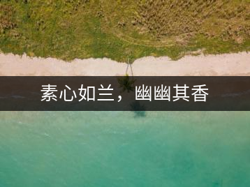 素心如蘭，幽幽其香