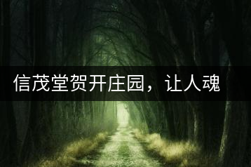 信茂堂賀開莊園，讓人魂牽夢繞的名山古樹茶