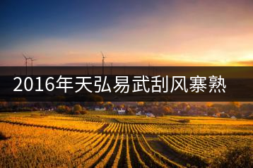 2016年天弘易武刮風(fēng)寨熟茶一泡耐人尋味！