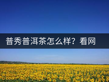 普秀普洱茶怎么樣？看網(wǎng)友精彩回答
