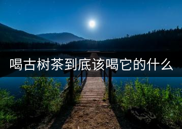 喝古樹茶到底該喝它的什么？