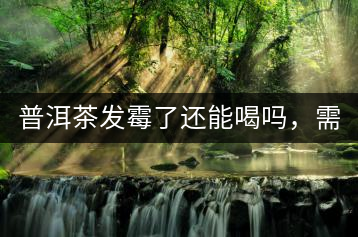 普洱茶發(fā)霉了還能喝嗎，需要怎么處理？