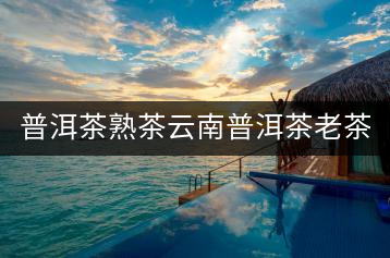 普洱茶熟茶云南普洱茶老茶坨原味沱茶勐海熟茶干倉(cāng)陳普洱茶葉500g