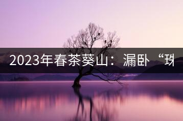 2023年春茶葵山：漏臥“珠江紅：1200元-3200元（有3個檔次）漏臥“大廠茶”：古樹單株8600-9000元／公斤，中樹4800-5200元／公斤，小樹混采2600-2800元／公斤。