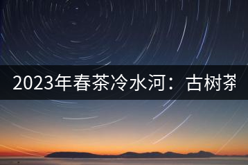 2023年春茶冷水河：古樹茶6000-6500元／公斤