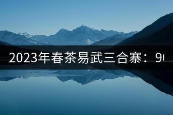 2023年春茶易武三合寨：900-1000元／公斤