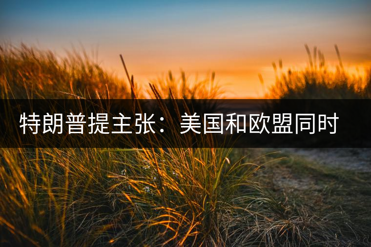 特朗普提主張:美國(guó)和歐盟同時(shí)取消所有關(guān)稅 特朗普提主張:美國(guó)和歐盟同時(shí)取消所有關(guān)稅