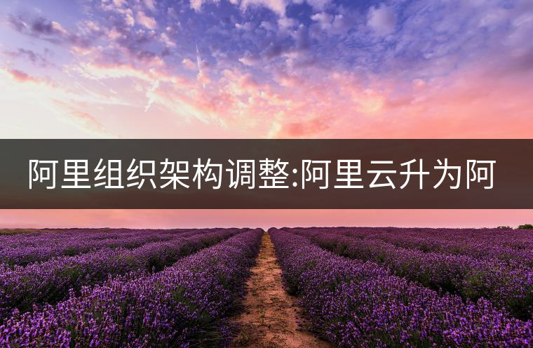 阿里組織架構(gòu)調(diào)整:阿里云升為阿里云智能 阿里組織架構(gòu)調(diào)整:阿里云升為阿里云智能