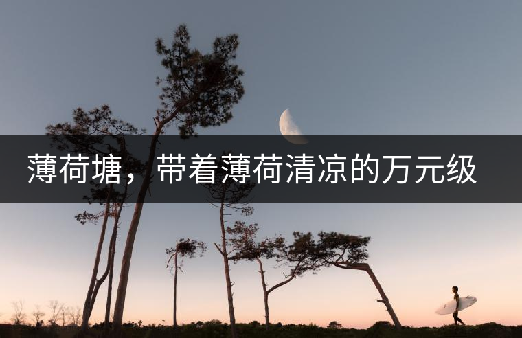 薄荷塘，帶著薄荷清涼的萬元級(jí)普洱