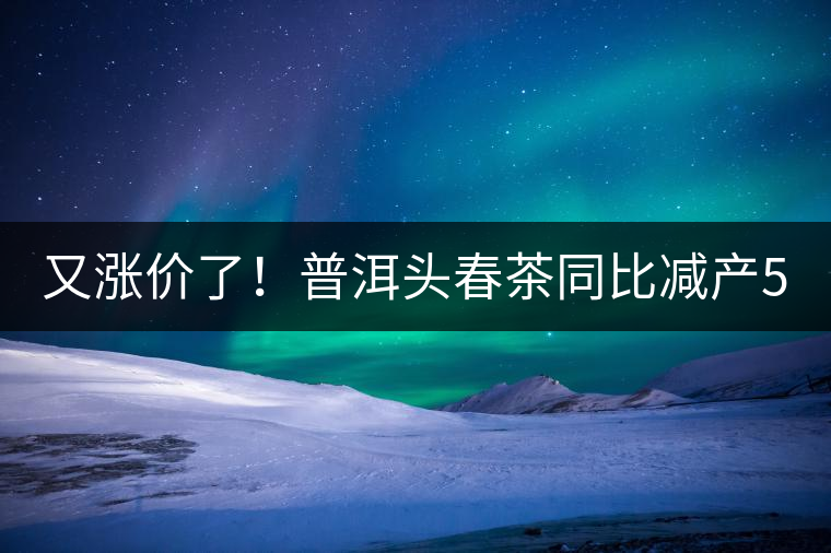 又漲價了！普洱頭春茶同比減產(chǎn)50%，薄荷塘一類鮮葉需當(dāng)面議價