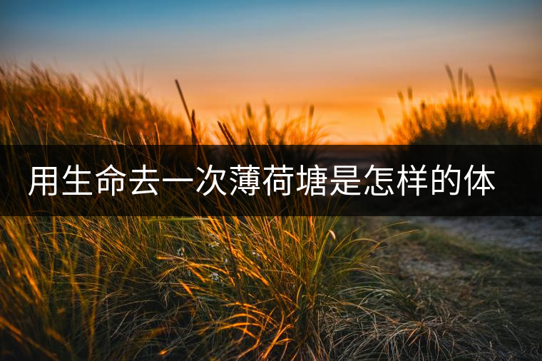 用生命去一次薄荷塘是怎樣的體驗(yàn) 用生命去一次薄荷塘是怎樣的體驗(yàn)