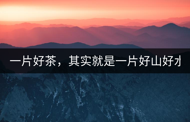 一片好茶，其實就是一片好山好水...一片好茶，其實就是一片好山好水...