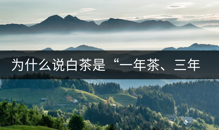 為什么說(shuō)白茶是“一年茶、三年藥、七年寶”?為什么說(shuō)白茶是“一年茶、三年藥、七年寶”？