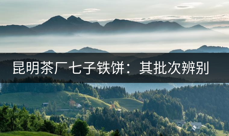 昆明茶廠七子鐵餅：其批次辨別、配方、年份大盤點！