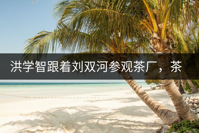 洪學(xué)智跟著劉雙河參觀茶廠，茶廠黃老板對賣苦力的百姓百般欺凌