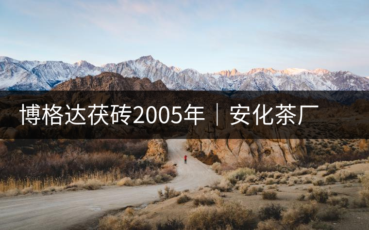 博格達(dá)茯磚2005年｜安化茶廠定制款，金花滿披，梅山韻濃！