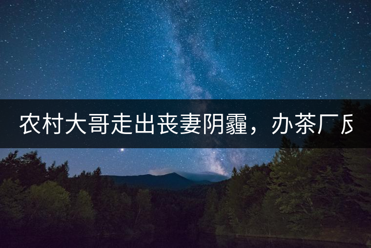 農(nóng)村大哥走出喪妻陰霾，辦茶廠反哺鄉(xiāng)鄰，每天處理鮮葉4000斤