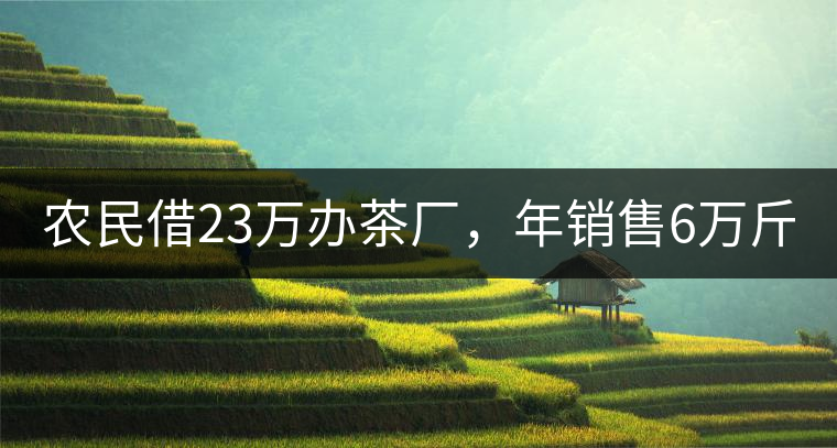 農(nóng)民借23萬辦茶廠，年銷售6萬斤，每天休息僅20分鐘!農(nóng)民借23萬辦茶廠，年銷售6萬斤，每天休息僅20分鐘！
