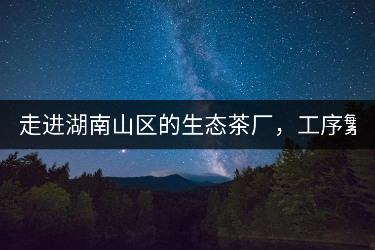 走進(jìn)湖南山區(qū)的生態(tài)茶廠，工序繁雜精細(xì)，538塊錢1斤真值走進(jìn)湖南山區(qū)的生態(tài)茶廠，工序繁雜精細(xì)，538塊錢1斤真值