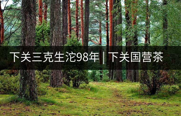 下關三克生沱98年 | 下關國營茶廠出口料，干倉儲存，...下關三克生沱98年 | 下關國營茶廠出口料，干倉儲存，19年老茶！