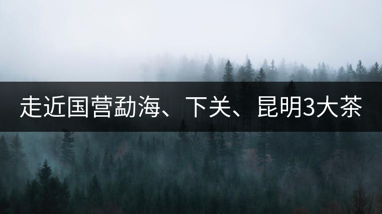 走近國營勐海、下關(guān)、昆明3大茶廠，傳世代表作的發(fā)展詳...走近國營勐海、下關(guān)、昆明3大茶廠，傳世代表作的發(fā)展詳解