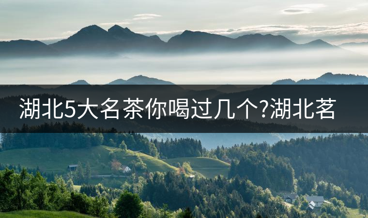 湖北5大名茶你喝過幾個?湖北茗茶的歷史故事?湖北茶哪...湖北5大名茶你喝過幾個？湖北茗茶的歷史故事？湖北茶哪個產(chǎn)地好