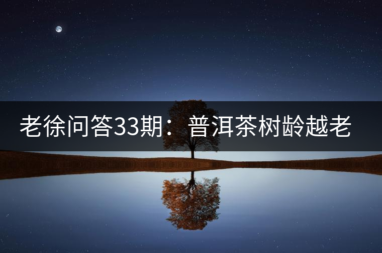 老徐問答33期：普洱茶樹齡越老越貴，那100年樹齡的老班章呢？