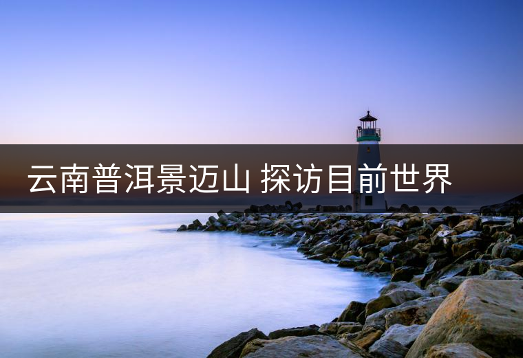 云南普洱景邁山 探訪目前世界上面積最大、年代最久遠(yuǎn)的古茶園