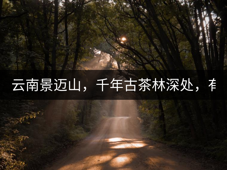 云南景邁山，千年古茶林深處，有一座世外桃源般的糯...云南景邁山，千年古茶林深處，有一座世外桃源般的糯干古寨