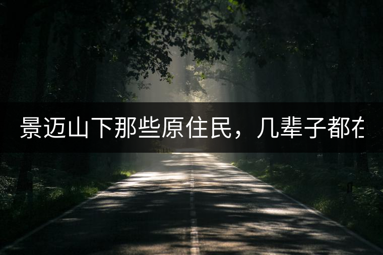 景邁山下那些原住民，幾輩子都在采茶、制茶，才有最...景邁山下那些原住民，幾輩子都在采茶、制茶，才有最好喝的普洱